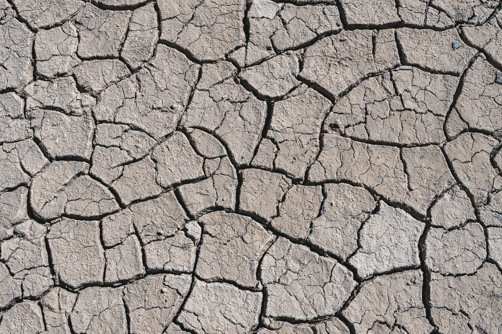 Cracked ground representing soil movement